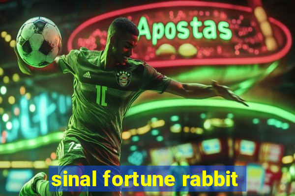 sinal fortune rabbit